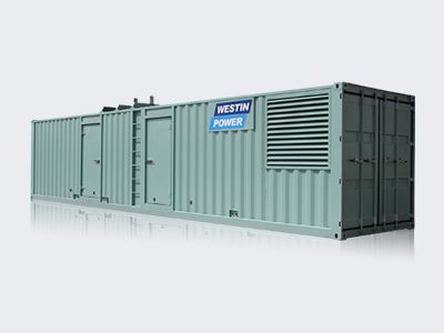 Дизельные и газовые генераторы на заказ